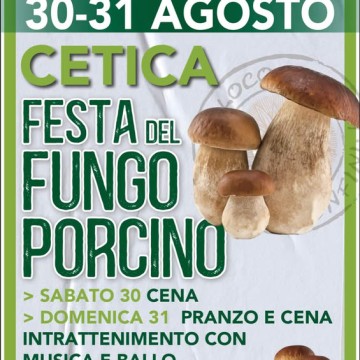 Festa del Fungo Porcino